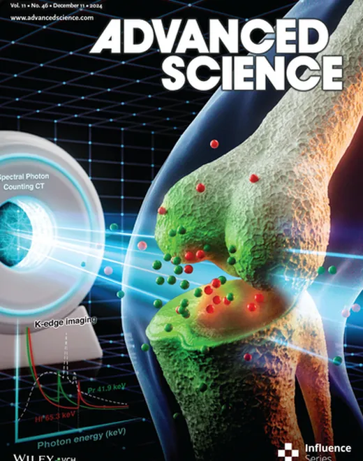 Journal cover art from the Pan Research Group