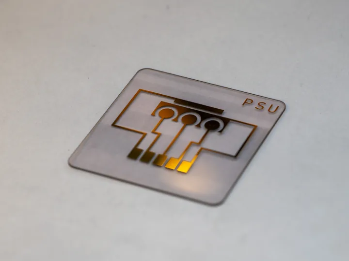 Gold-electrode sensor chip fabricated in the lab